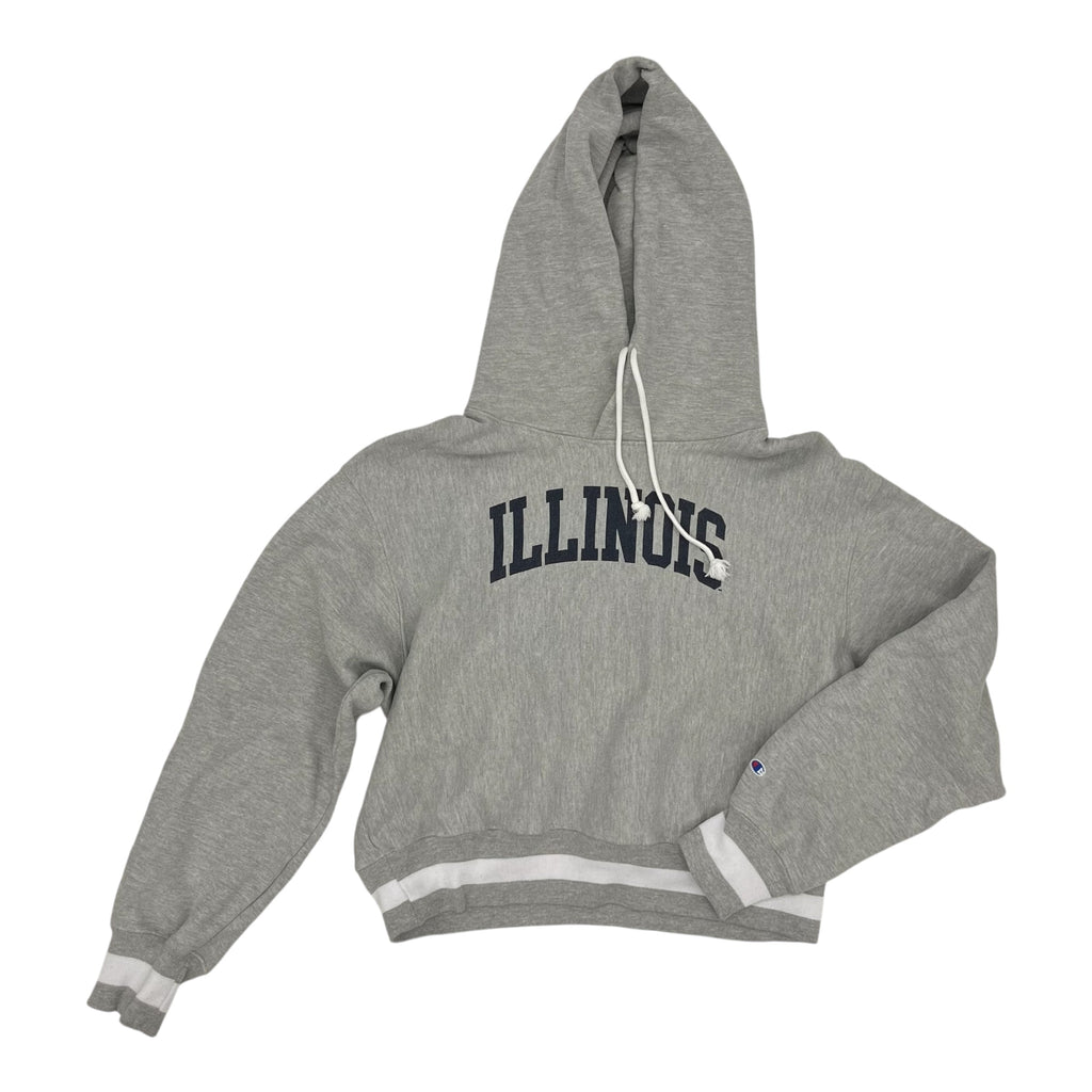 Sweatshirt Hoodie By Champion In Grey, Size:L